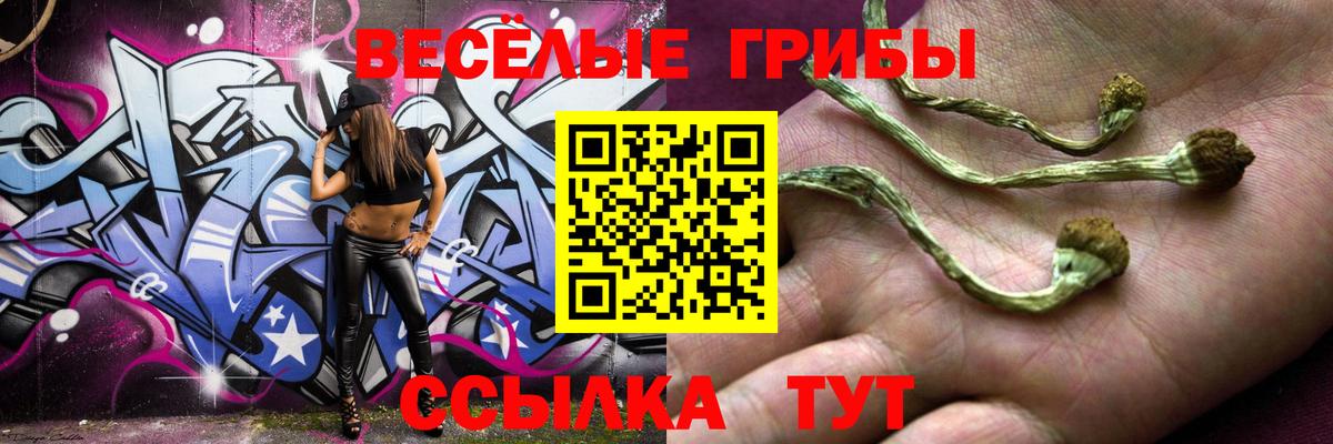 Псилоцибиновые грибы MAGIC MUSHROOMS Верхний Уфалей